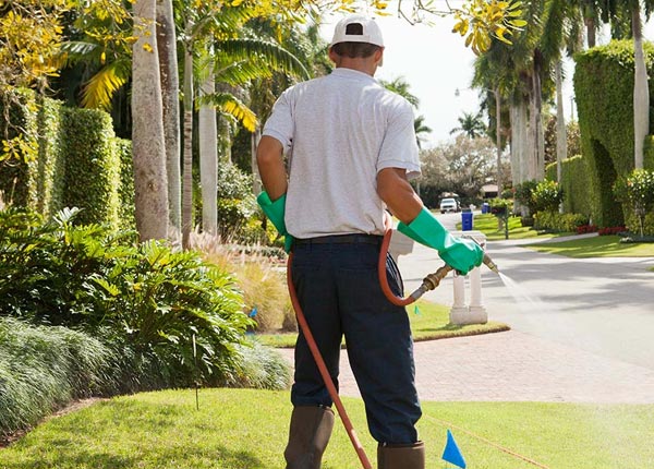 About Dalton MO Pest Control